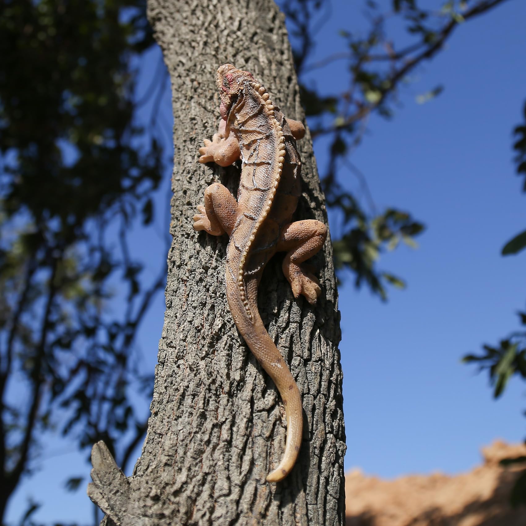 SHAODIE Outdoor Lizard Statue Sculpture Garden Patio Porch Tree Wall Wall Hanging Art Deco Gift 10.24 inch Rainforest Animal Decoration