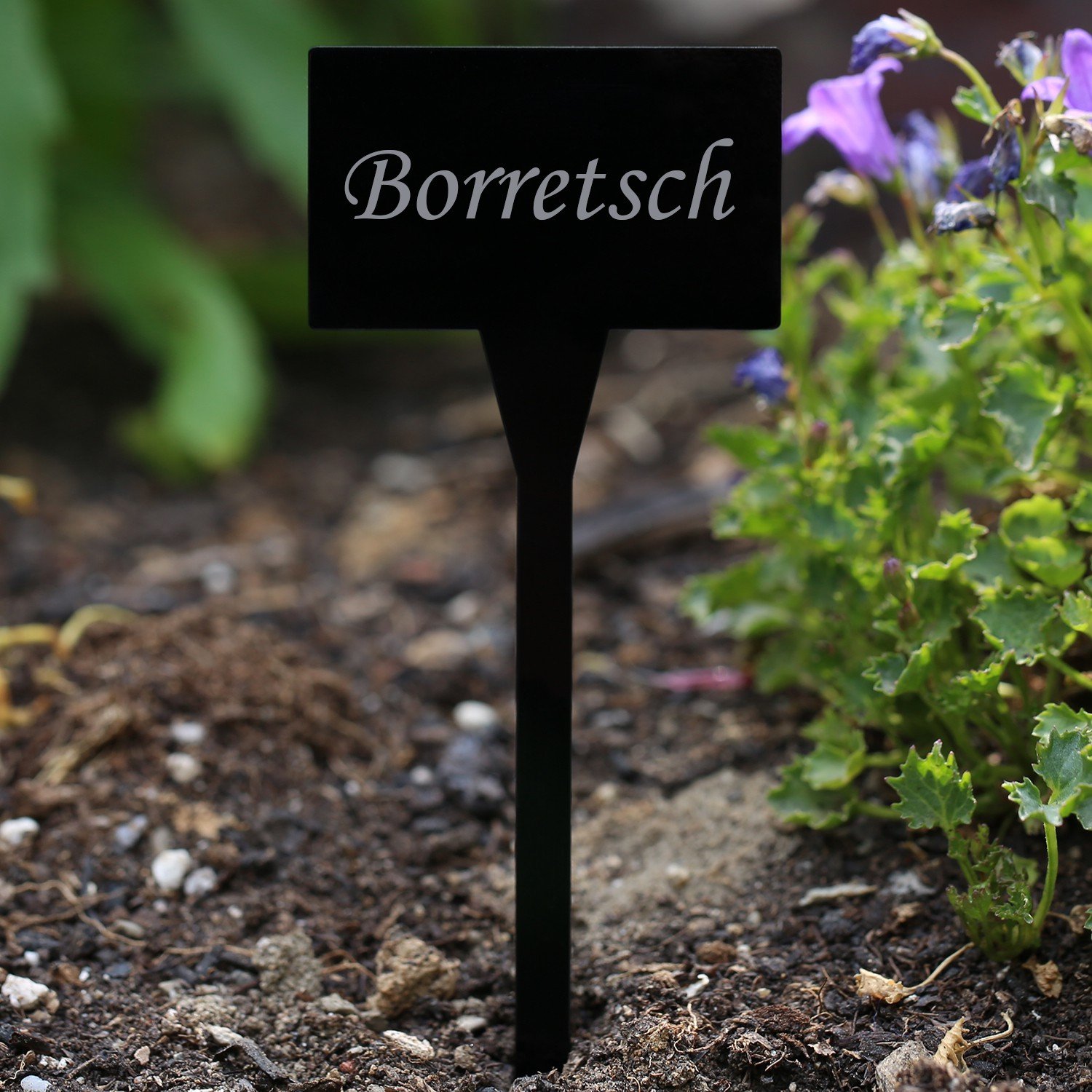 Etichette Per Piante In Acrilico Ovale - Personalizzate Con Nome A Scelta, Incolori, Resistenti Agli Agenti Atmosferici, Altezza 15,5 Cm - 2