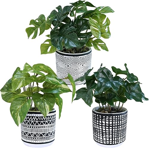 Winlyn 3 piezas de plantas tropicales artificiales pequeñas en maceta, plantas sintéticas de hiedra Monstera Pothos en macetas geométricas negras
