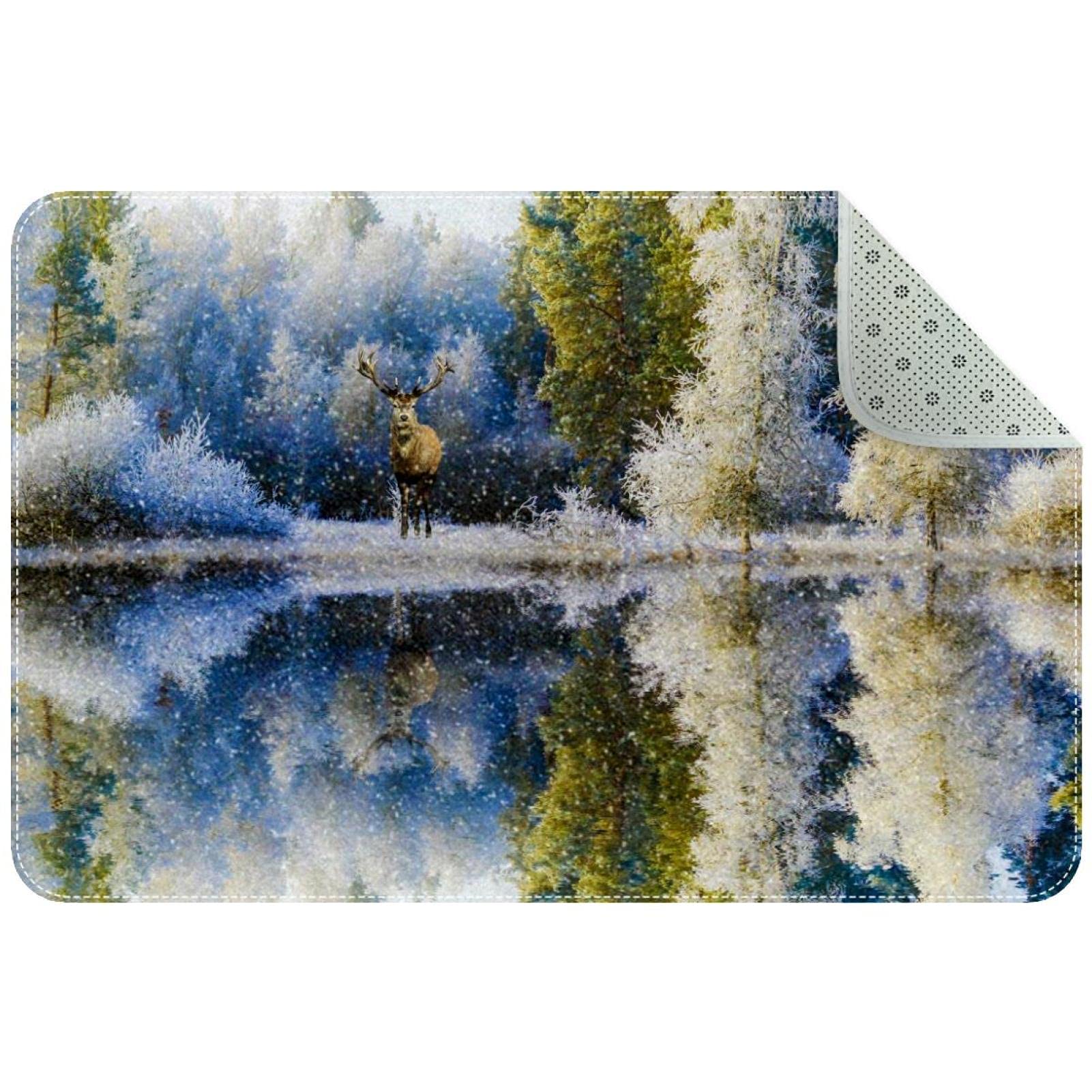 Tapis d'entrée durable et grattoir à chaussures de neige avec base antidérapante robuste