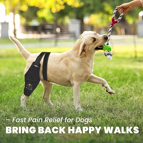 Miniatura 4 de Rodillera para perro para pierna trasera de ligamento cruzado anterior desgarrado, ajustador de ángulo de metal para ajuste personalizado,