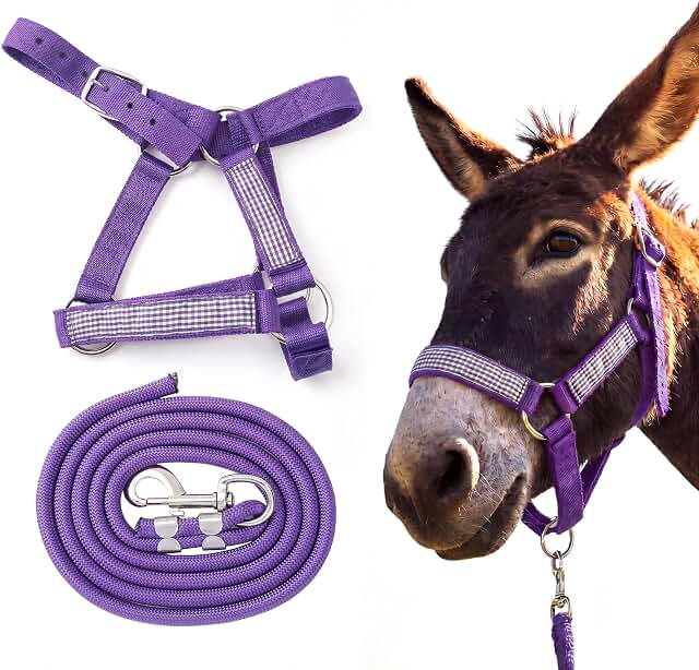 1 Set Mini Donkey Halter with Lead Rope Adjust