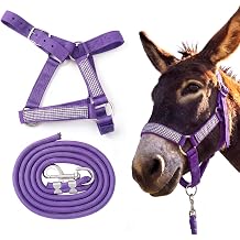 1 Set Miniature Donkey Halter with Lead Ropes, Cute and Stylish Adjustable Nylon Head Collar Set for Miniature Donkeys Purple