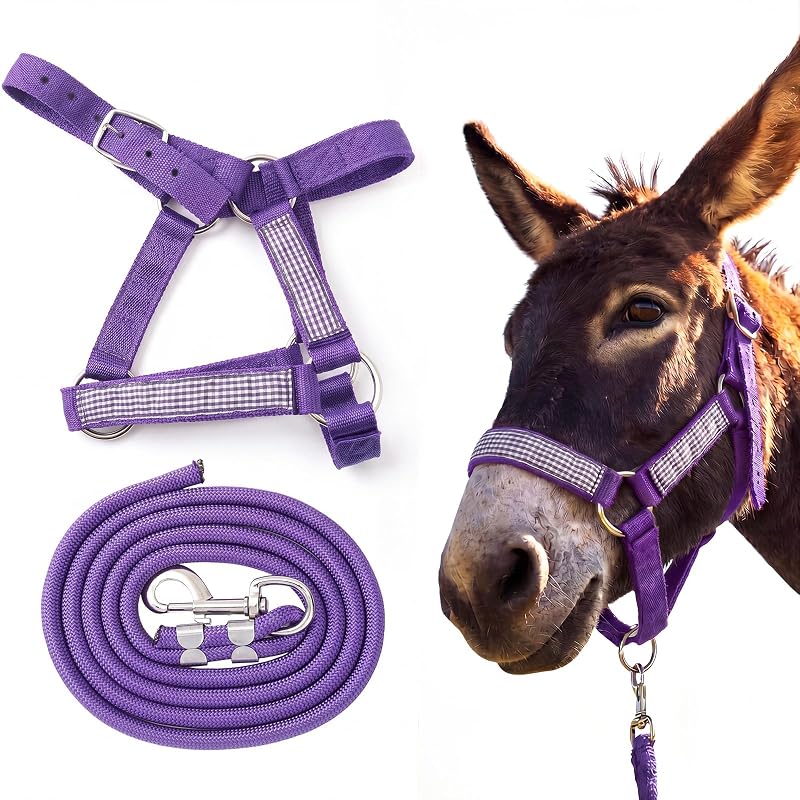 Cabresto ajustável para mini burro com guia de condução em nylon Yeyeplum, roxo, conjunto com 2