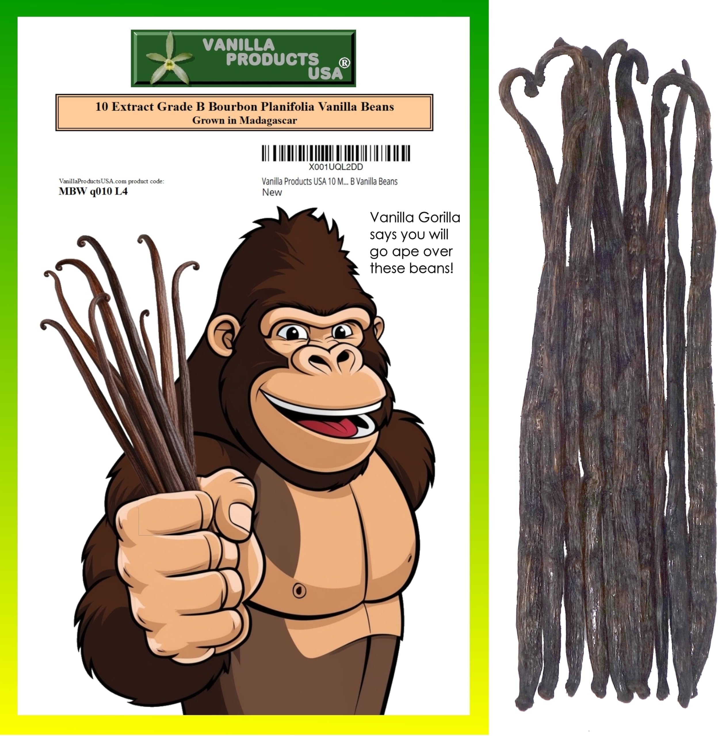 Vanilla Products USA 10 Whole Madagascar Bourbon Planifolia Extract Grade B Vanilla Beans