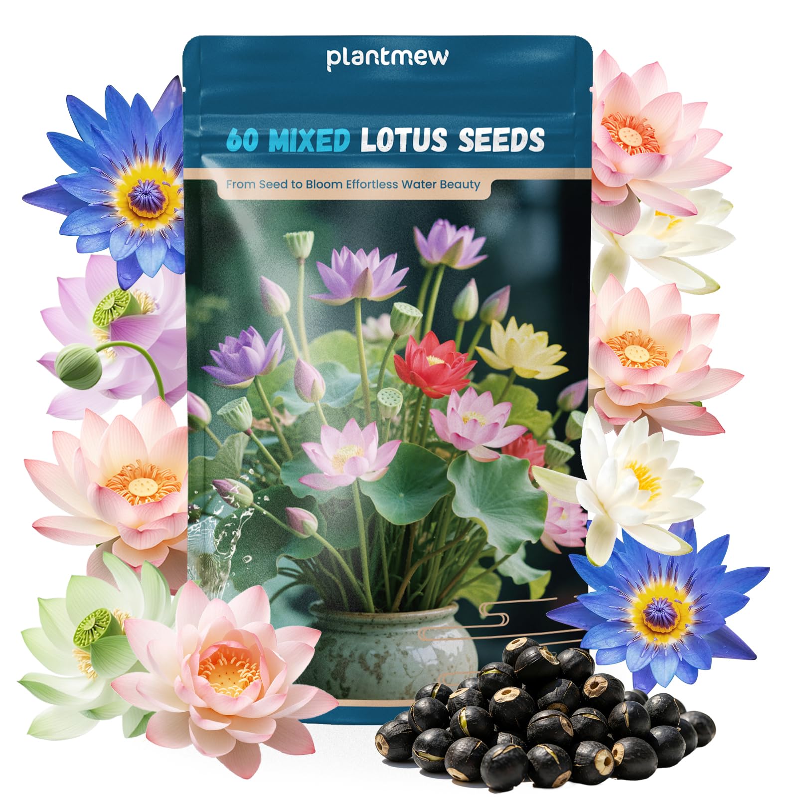 PLANTMEW 60 PCS Lotus Seeds