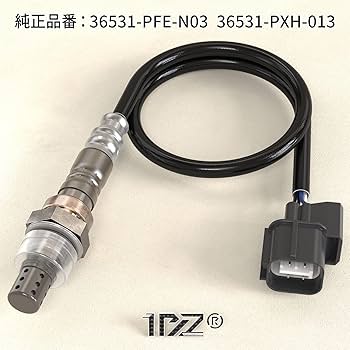 み 815dKgujOqL._AC_UF350,