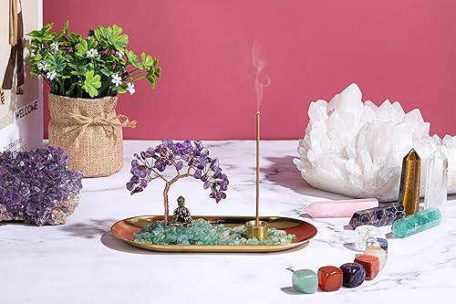 Miniatura 7 de Jovivi Paquete  2 artículos de geoda de amatista natural cruda amatista racimos + piedra de cristal curativo de amatista árbol del dinero, juego de