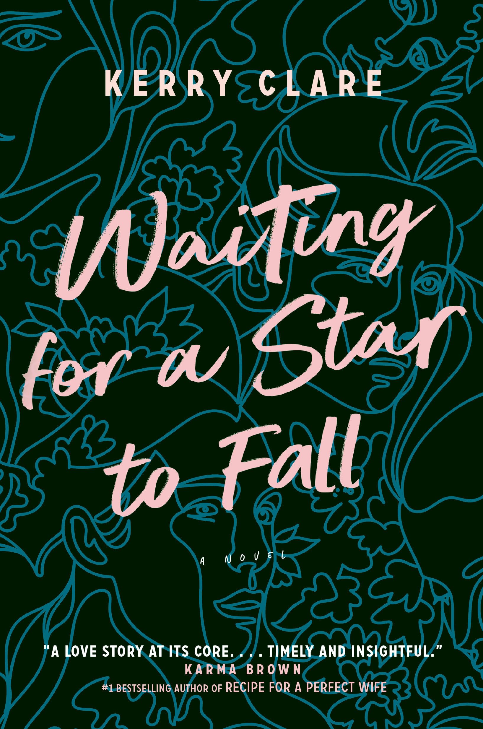 Buy Waiting for a Star to Fall: A Novel — BookShops.in
