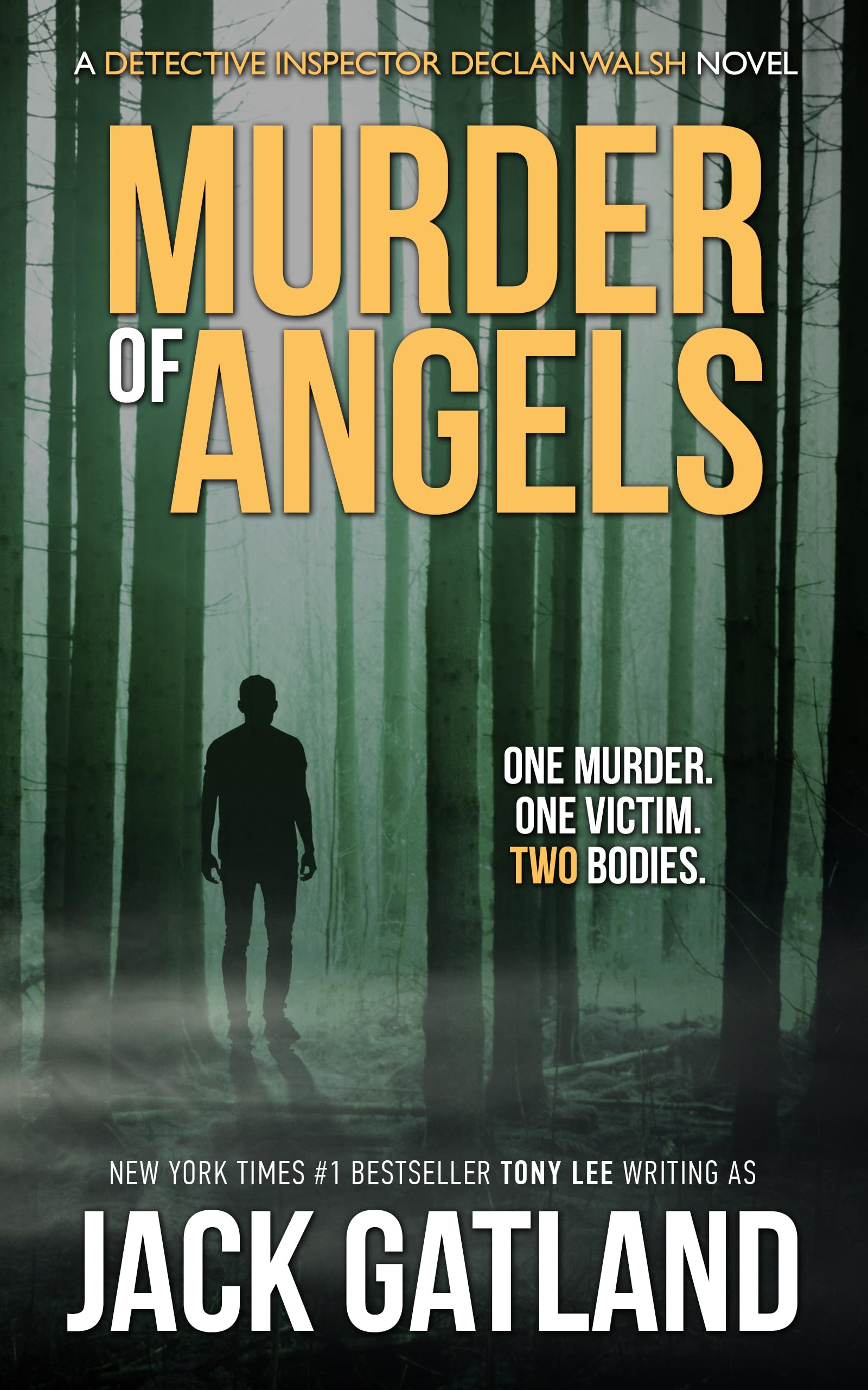 Murder Of Angels: A British Murder Mystery (Detective Inspector Declan Walsh Book 2)