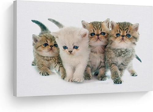 Vista 88 de Smile Art Design Border Collie Bulldog Rottweiler Cachorro Persa Gatito Animal Lienzo Impresión Arte de Pared Pet Cat Dog Lover Sala Dormitorio