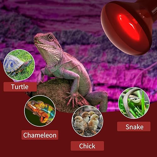 Miniatura 6 de LEDBOKLI Bombillas de calor para reptiles, lámpara de calor de 75 W, bombillas infrarrojas para mascotas, bombilla de calor E26 de 110 V para