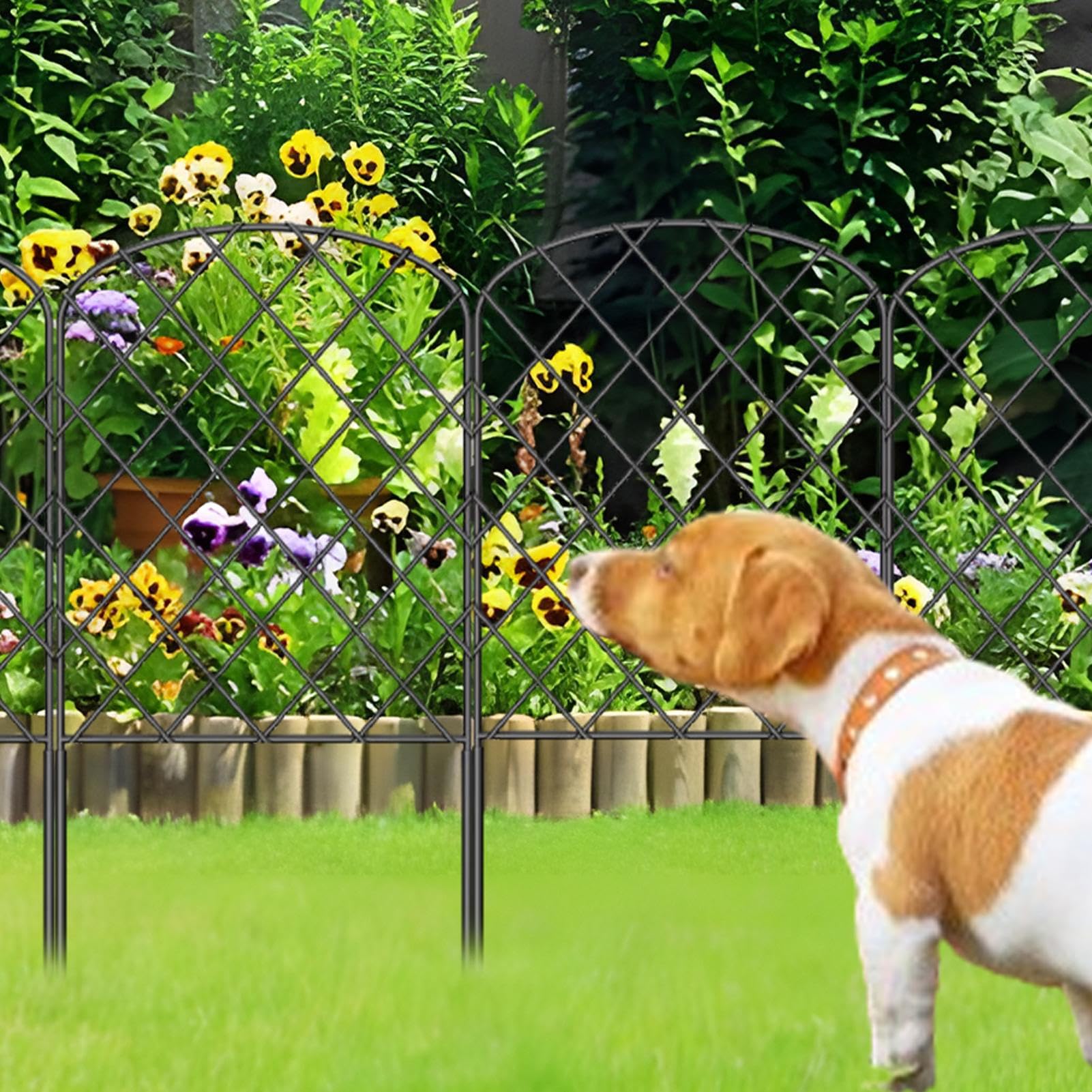Recinto per Cani Esterno Cortile Per Esterni 10X, Traliccio, Rete, Cancello | Recinzione per Giardino Cortile, Patio, Balcone, , Recinto Cani, Pollaio, Recinto Conigli, Aiuola, Campeggio, Camper