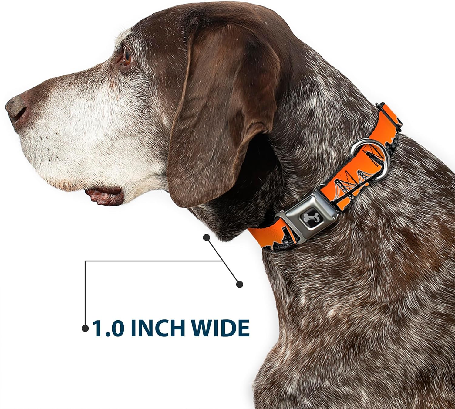 Dog Collar Seatbelt Buckle San Francisco Vivid Skyline Orange Fade Black 11 to 17 Inches 1.0 Inch Wide
