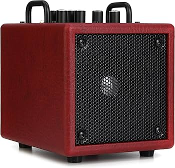 Amazon.com: Phil Jones Bass X4C Nanobass 35-watt Multi-Instrument