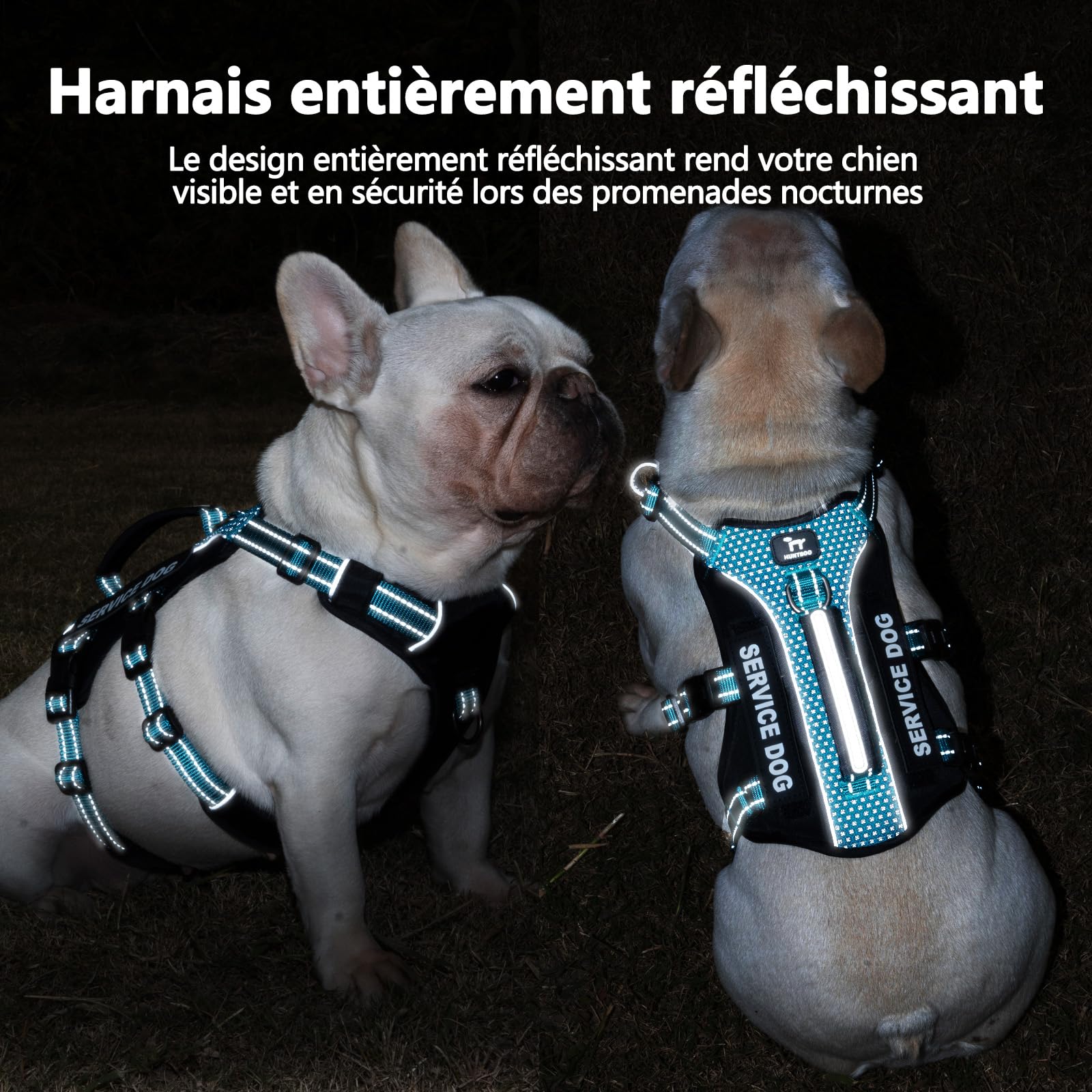 Huntboo Harnais Chien d’Assistance avec 6 Écussons, Harnais Anti Traction pour Chien avec Poignée, Harnais Anti Fugue Chien, Réfléchissant et Réglable, pour Dressage et Promenade (Bleu Sarcelle,L)