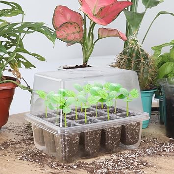 MIXC Seed Trays, 10 Pack 120 Cells Seed Tray for Seedlings Reusable Seed Trays with Lids, propagators for plants, Germination Trays Kit Plastic for Greenhouse/Garden Clear