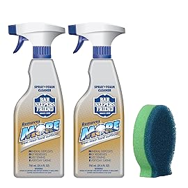 Bar Keepers Friend MORE Spray + Foam Multipurpose Cleaner (2 x 25.4 oz) & Dish Fish Dual Sponge for Bathroom, Kitchen & Outdoor Use on Stainless Steel, Aluminum, Brass, Tile, Ceramic, Porcelain & More