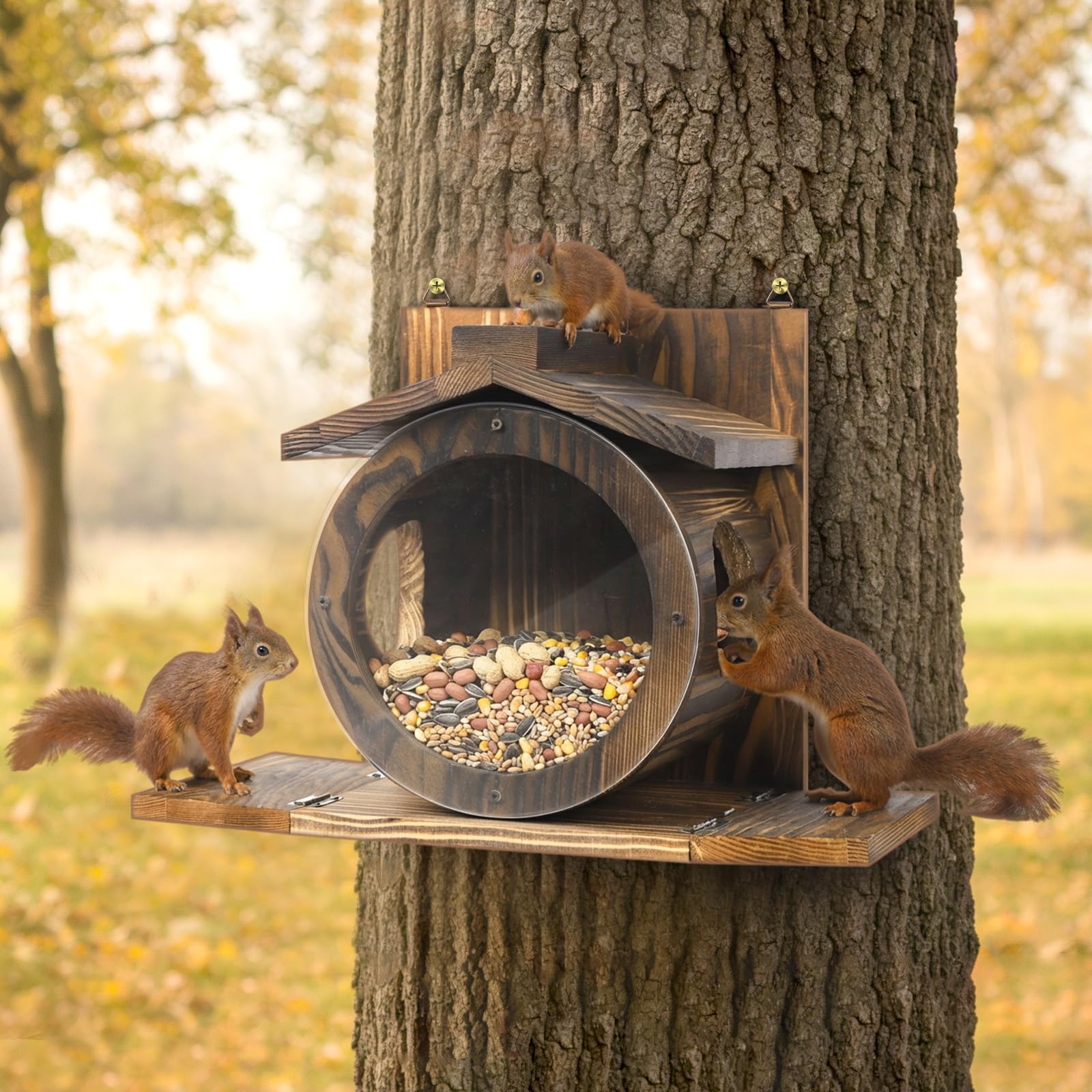 Eichhörnchen Futterhaus aus Holz, wetterfestes Dach, transparentes Fenster, für Bäume und Zäune