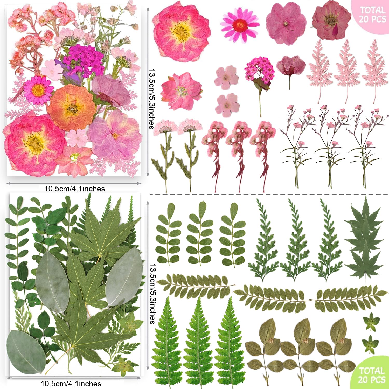301Pcs getrocknete gepresste Blumen Blätter & Schmetterling Aufkleber für Kunsthandwerk, TrendCart Trockengepresste Blumen für Harzformen Nägel Kunst Kerzenherstellung Handyhüllen Schmuckherstellung