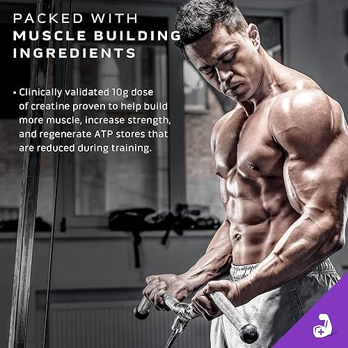 Miniatura 4 de MuscleTech Mass Gainer Proteína en polvo, Mass-Tech Extreme 2000, Muscle Builder Whey Protein Powder, proteína + creatina + carbohidratos, ganador