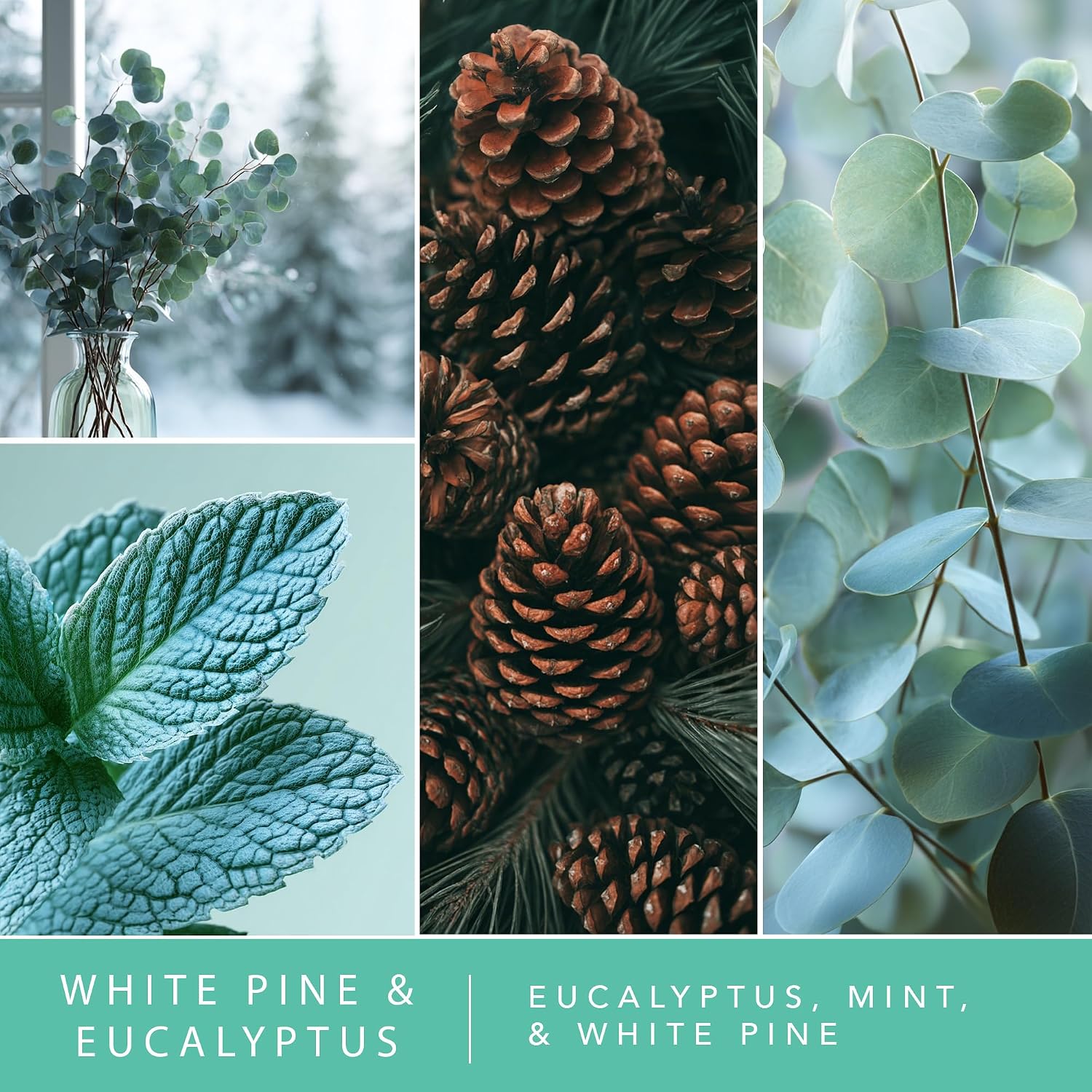ScentSationals White Pine & Eucalyptus Water-Based Reed Diffuser - 5 FL OZ