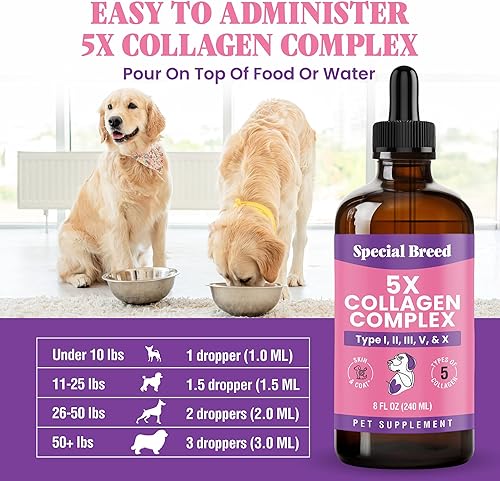 Miniatura 5 de Colágeno Premium para Perros - Soporte Líquido para Articulaciones, Piel, Pelaje, Hueso, Sistema Inmunológico y CADERAS - Suplemento de Colágeno -