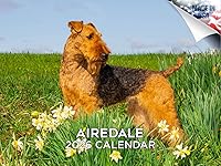 Vista 17 de Razas de Perros 2017