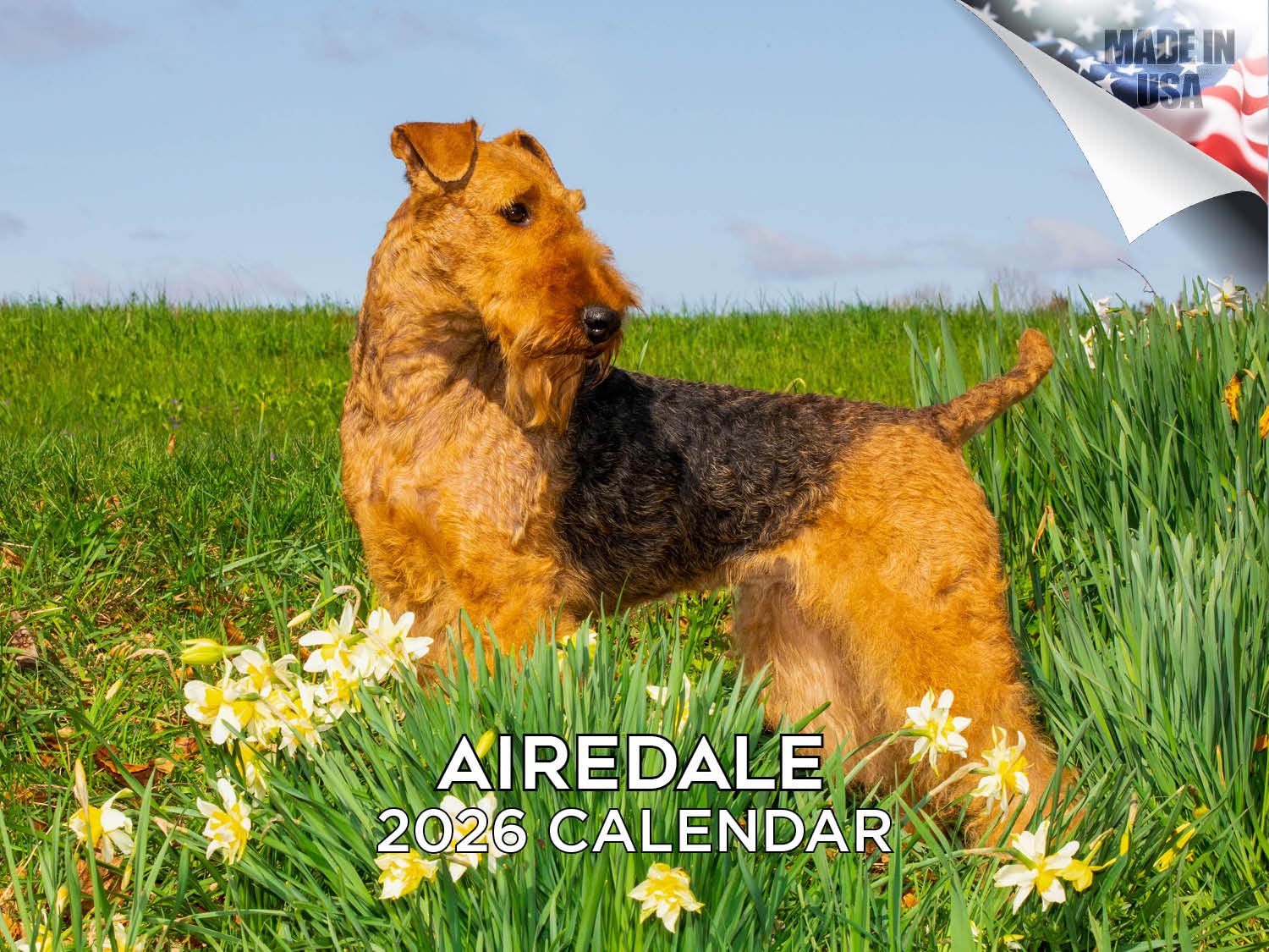 Calendario 2024 2025 Airedale – Calendario mensual de pared de raza de perro – 12 x 18 pulgadas abierto – Papel grueso que no se corre – Regalo – Calendario académico para profesores organizando y