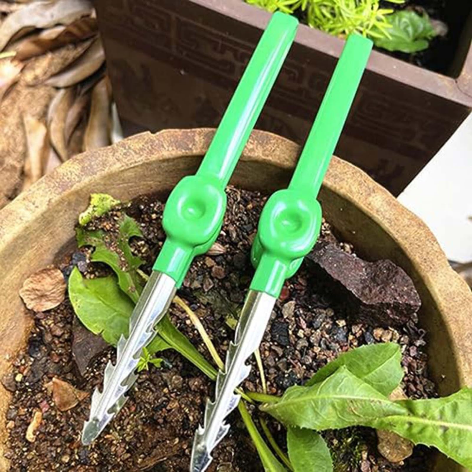 Pinzette per la cura delle piante grasse Clip portatile in acciaio inossidabile Strumento di giardinaggio multifunzionale per la manipolazione delle piante Lavoro accurato Uso educativo