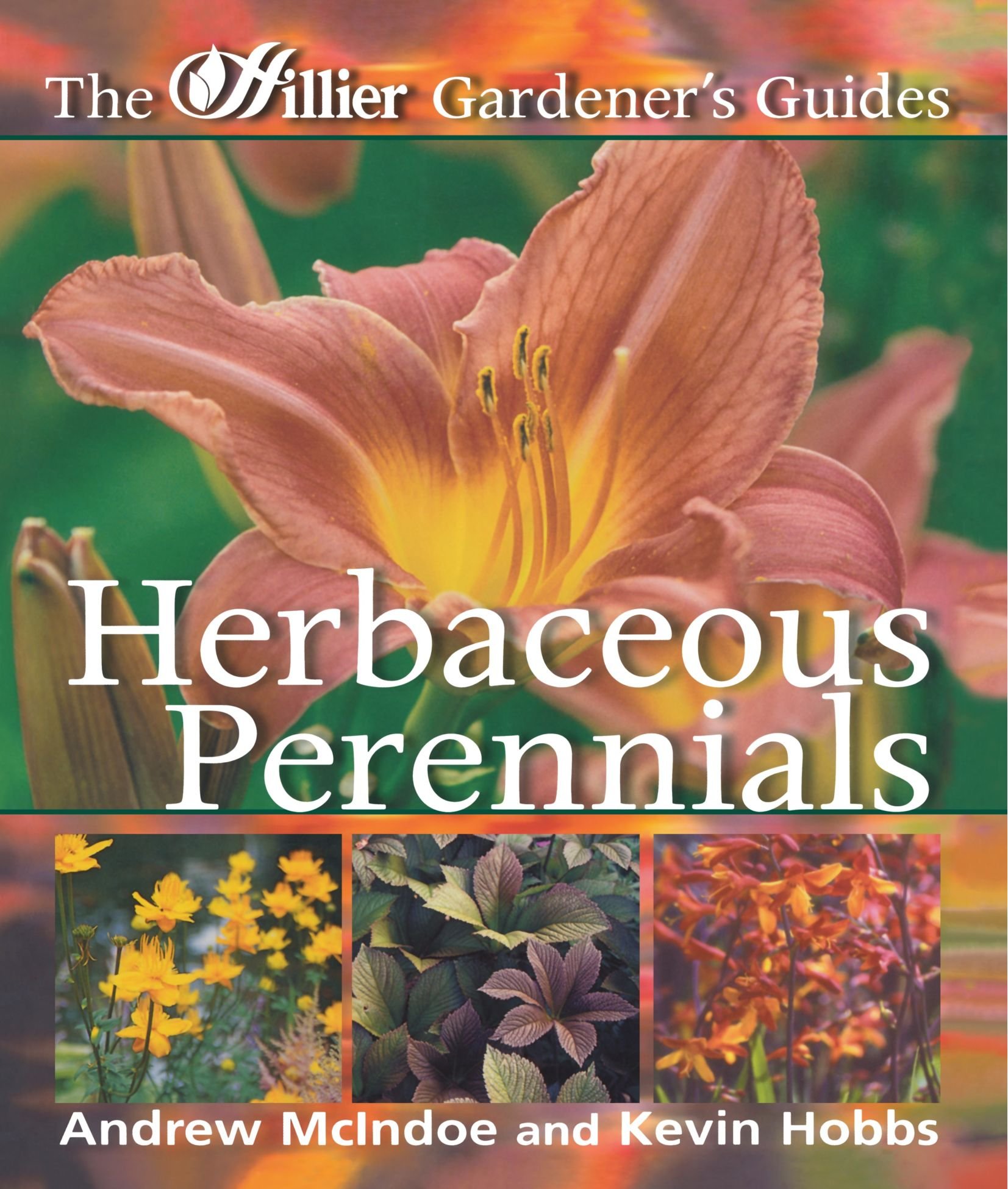 Herbaceous Perennials