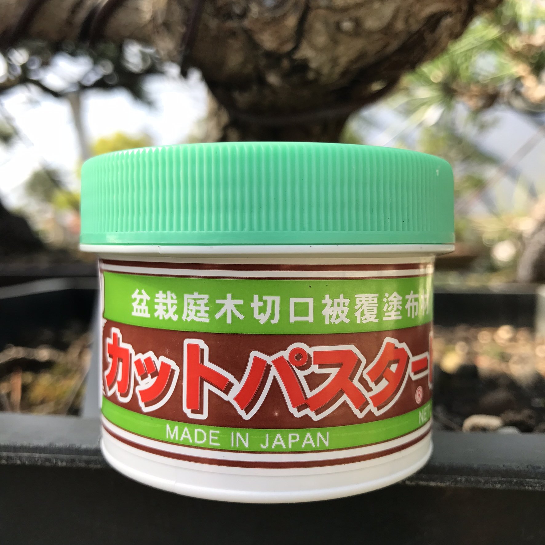 Geosism & Nature Mastice Giapponese, Pasta cicatrizzante specifico per Bonsai di conifere, 190 gr