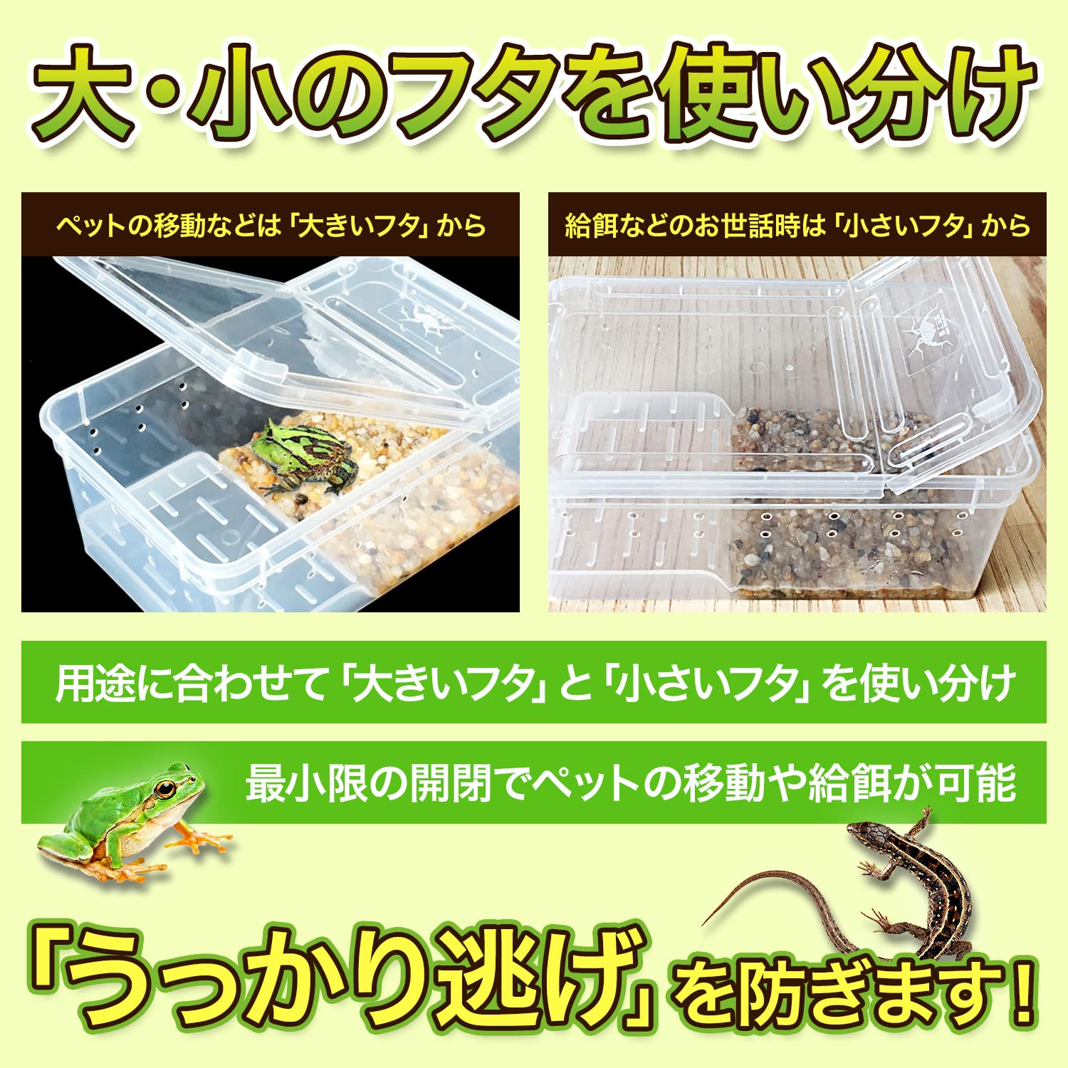 爬虫類・両生類のエサ PM80 F20 H50 ADM50 爬虫類・両生類のエサ PM80 F20 H50 ADM50 PM80 F20 H50 ADM50