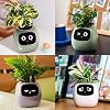 Masdio Smart Flowerpots with Artificial Intelligence Time Temperature Display and Numerous Expressive Animations Based On The Environment for Interior Decoration (Yellow)