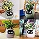 Masdio Smart Flowerpots, with Artificial Intelligence, Time Temperature Display, and Numerous Expressive Animations Based On The Environment, for Indoor Decoration, Gifts(Green) Product Image 4