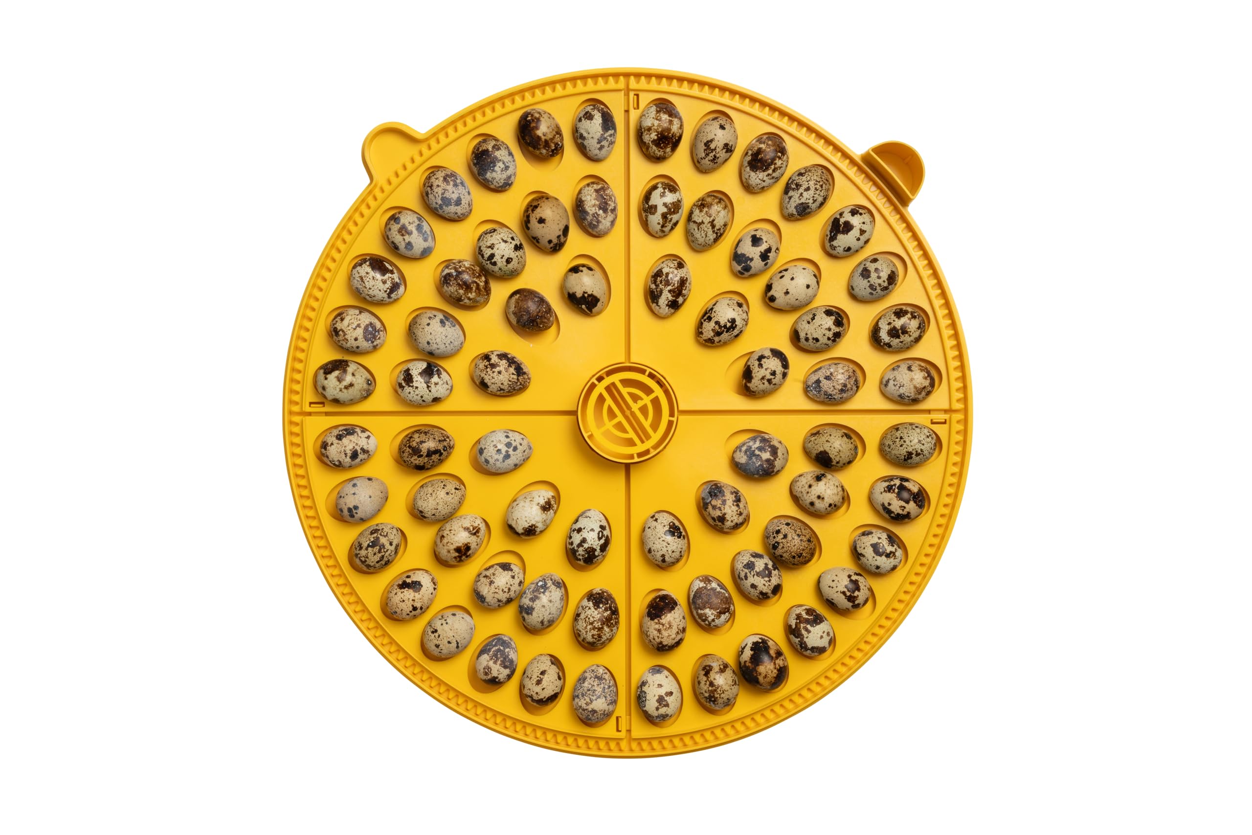 Incubadora BRINSEA Maxi 48 Advance - Incubadora para Huevos de Diferentes Especies de Ave - con volteo automático