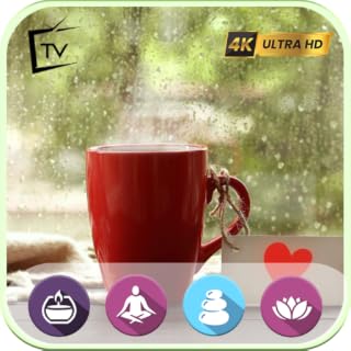 Fall Asleep to Raindrops on Your Window - Relaxing Gentle Rain Sounds for Sleep Troubles and Insomnia For Fire TVs - NO ADS
