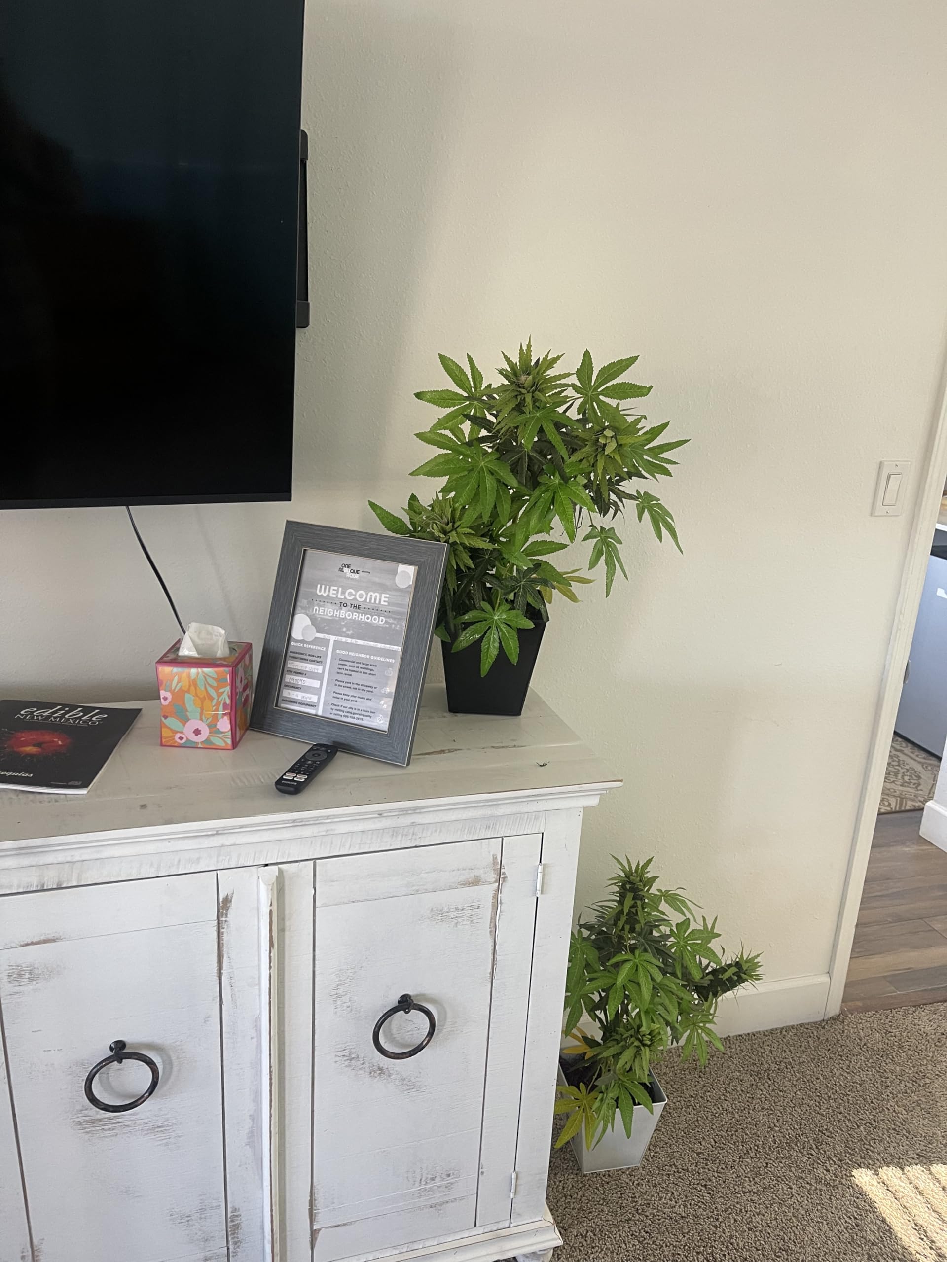 Amazon.com: DecoBudz Realistic Faux Cannabis Decor – Artificial