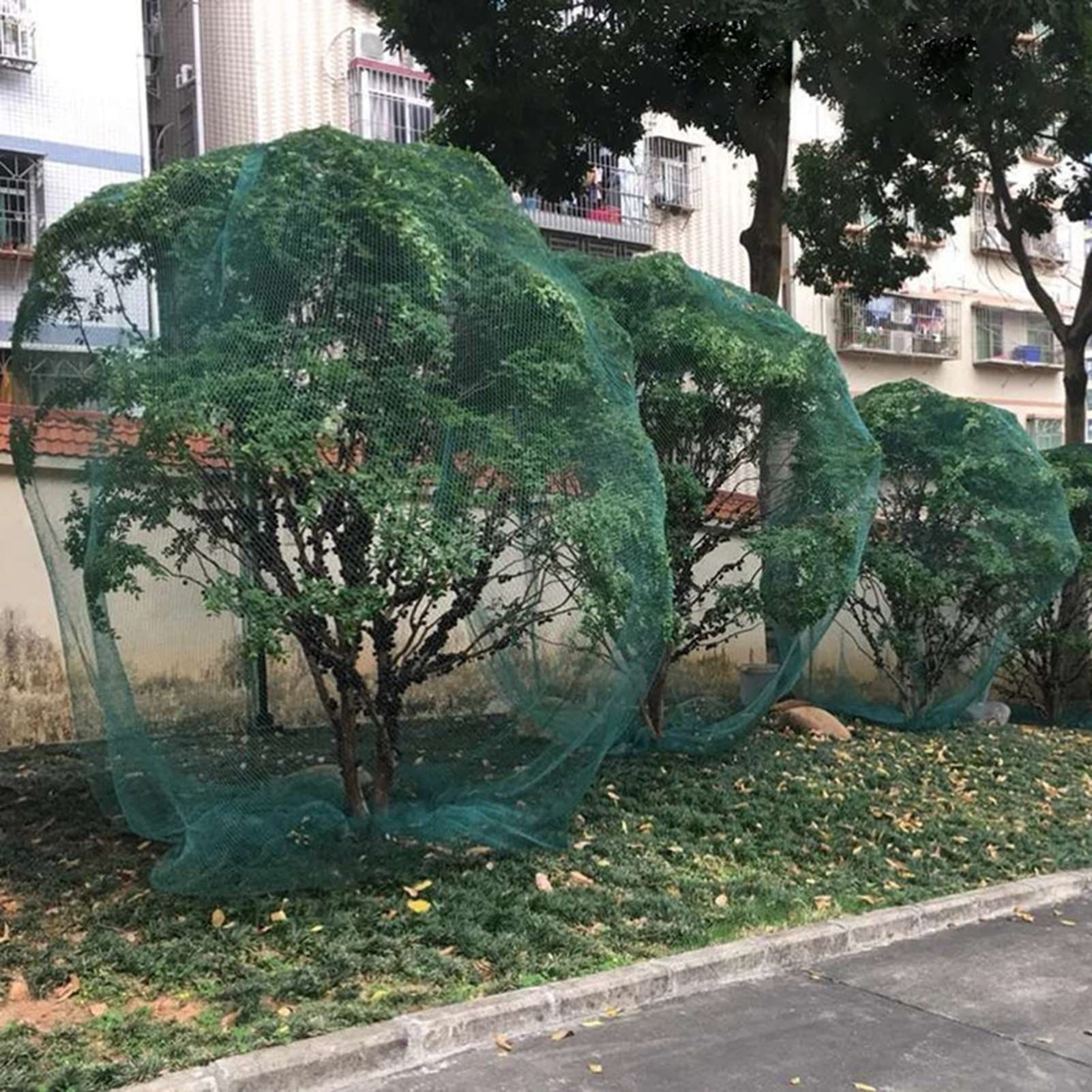Generisch Robustes Garten-Rankgitter mit Vogelschutz für Erdbeeren, Blaubeeren, Hühnerställe und Gewächshäuser (1,8 x 20 Fuß / 5,9 x 66 Fuß), langlebig, UV-beständig, einfach zu montieren
