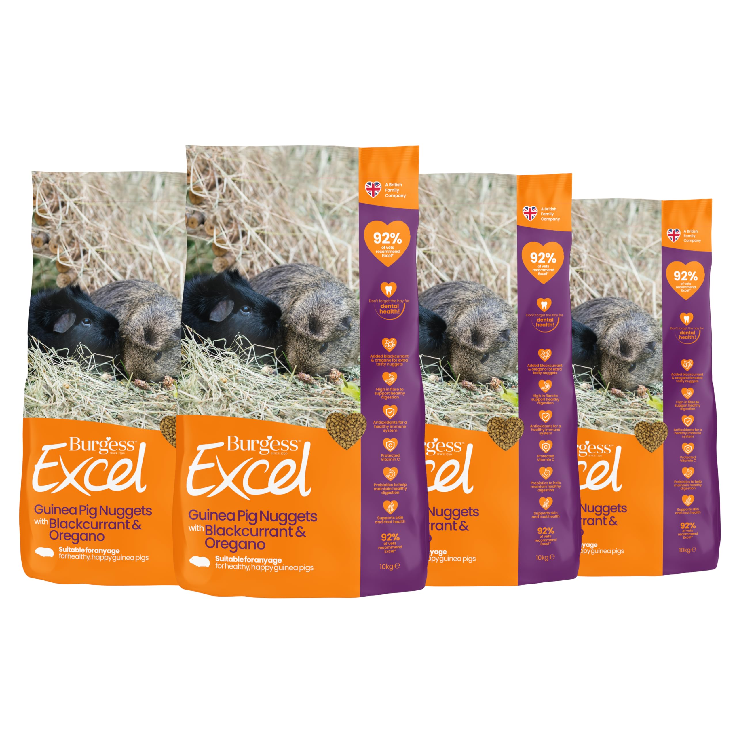Burgess Excel Guinea Pig Food with Blackcurrant & Oregano, 6kg – Guinea Pig Nuggets for Adult Guinea Pigs – High Fibre, Blackcurrant & Oregano Guinea Pig Pellets (Pack of 4)