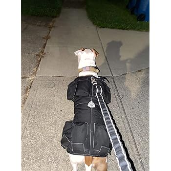 weighted vest for small dogs