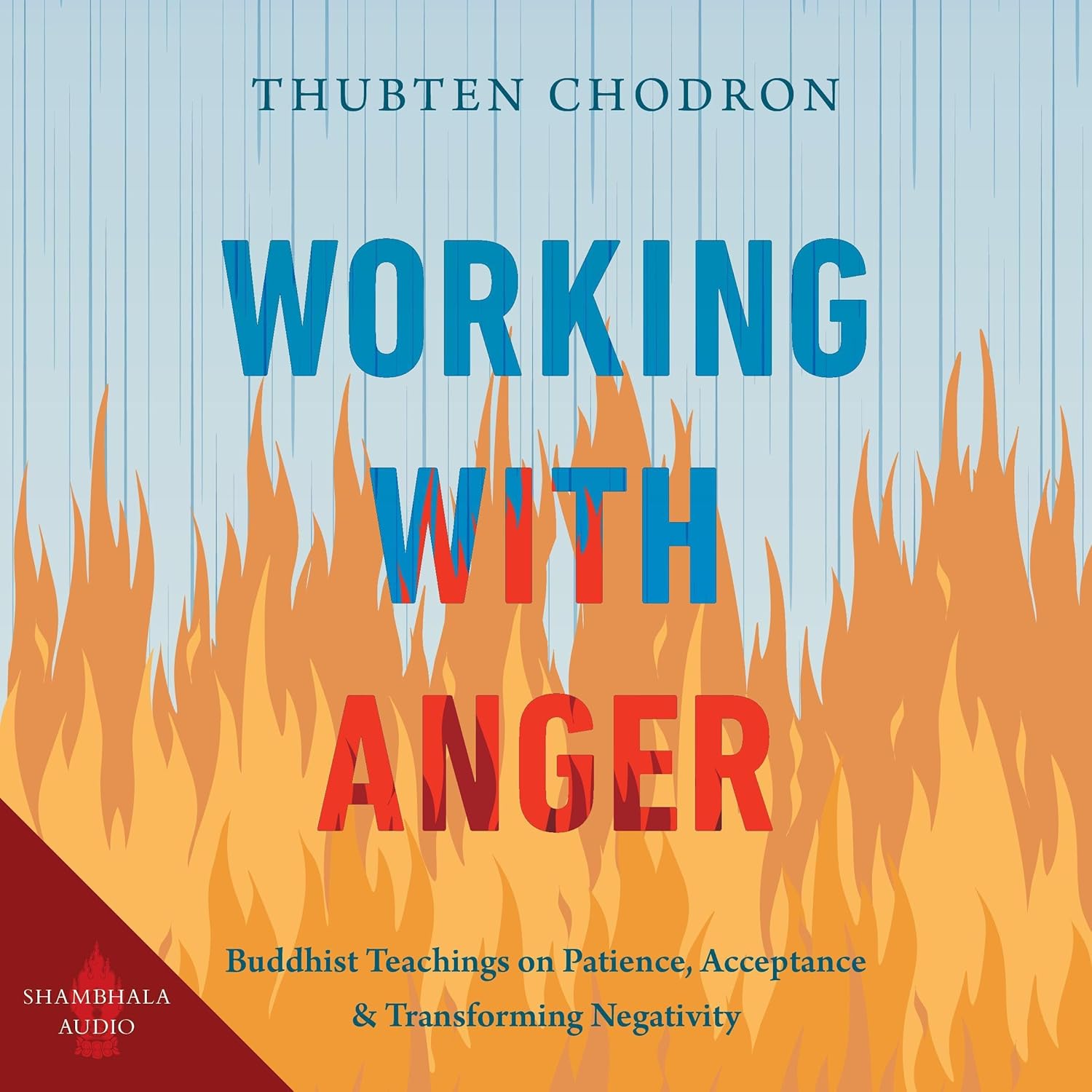 Buddhist Teachings on Patience, Acceptance, and Transforming Negativity