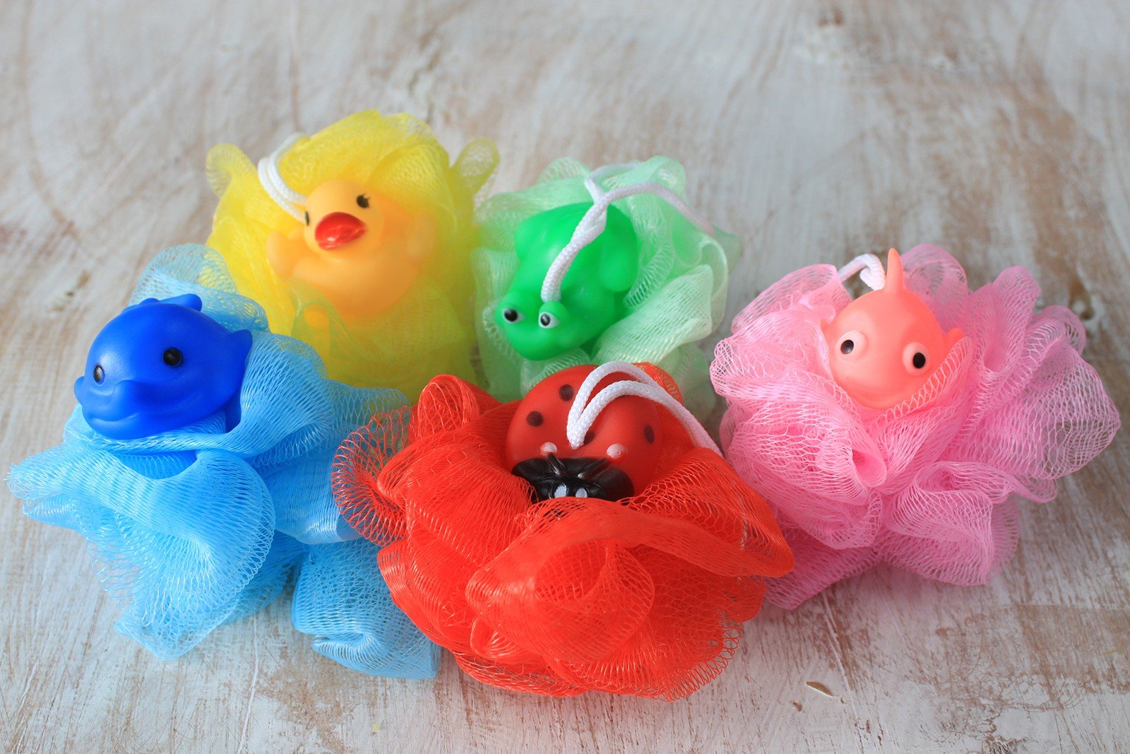 5 Fleurs de douche Animaux (Poissons, Canard, Coccinelle, Grenouille)