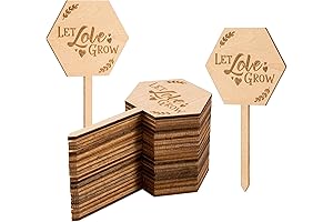 Let Love Grow Succulent Tags Wedding Favors