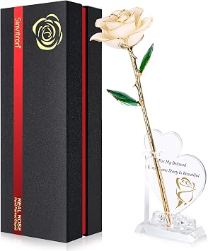 Sinvitron Gold Dipped Infinity Rose Forever Flower Decor, Resin Preserved Real Rose Birthday Gift for Women, Anniversary Present for Mom (White)