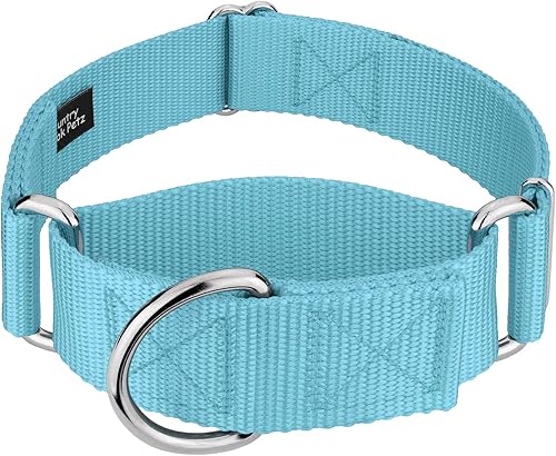 Country Brook Petz - Vibrante selección de 15 colores - Martingale - Collar de perro de nailon resistente (extragrande, 1 12 pulgadas de ancho, azul