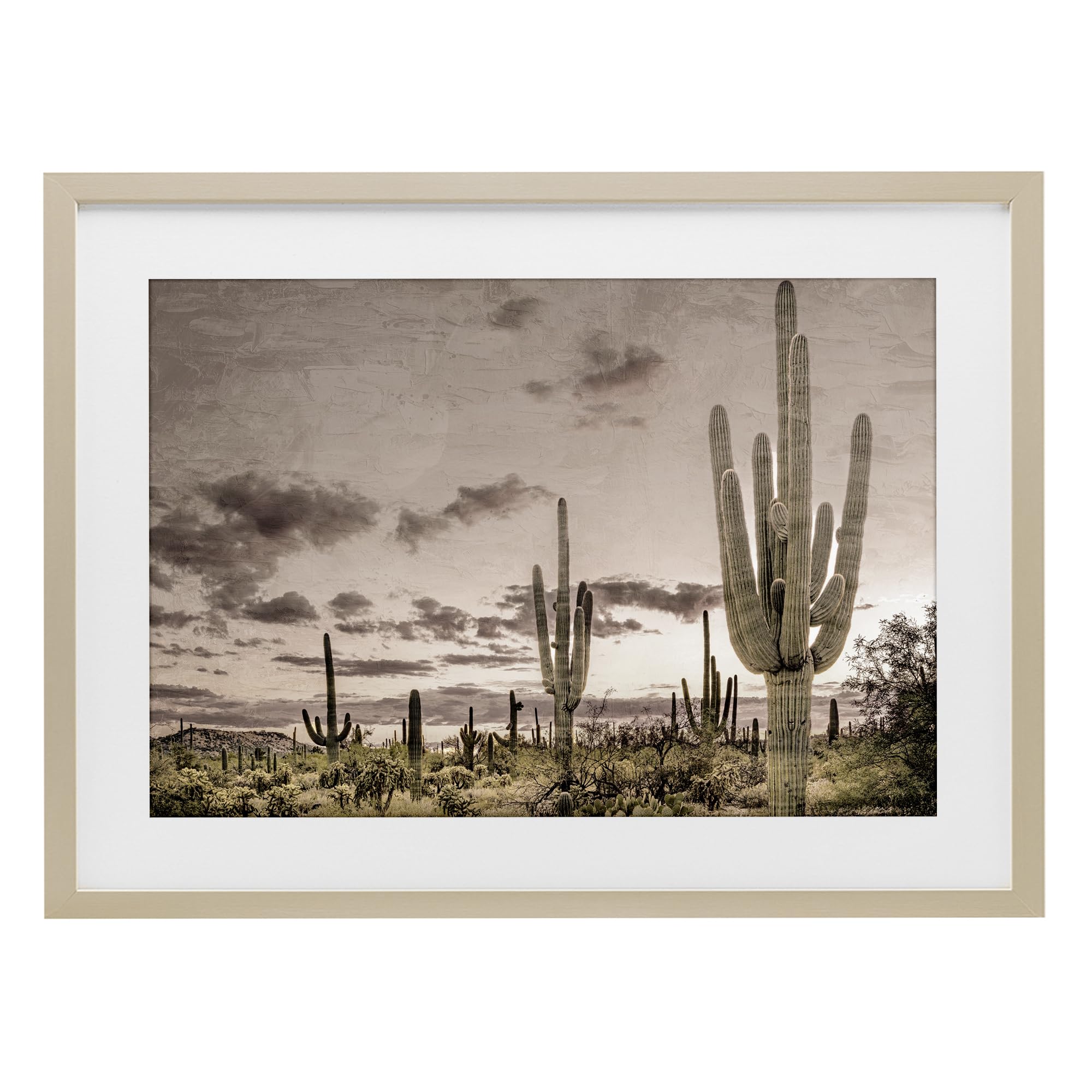 Stupell Industries Harvest Pine (Textured) Desert Sky Wilderness Cactus, 14 X 20 Inch Framed Print Under Glass