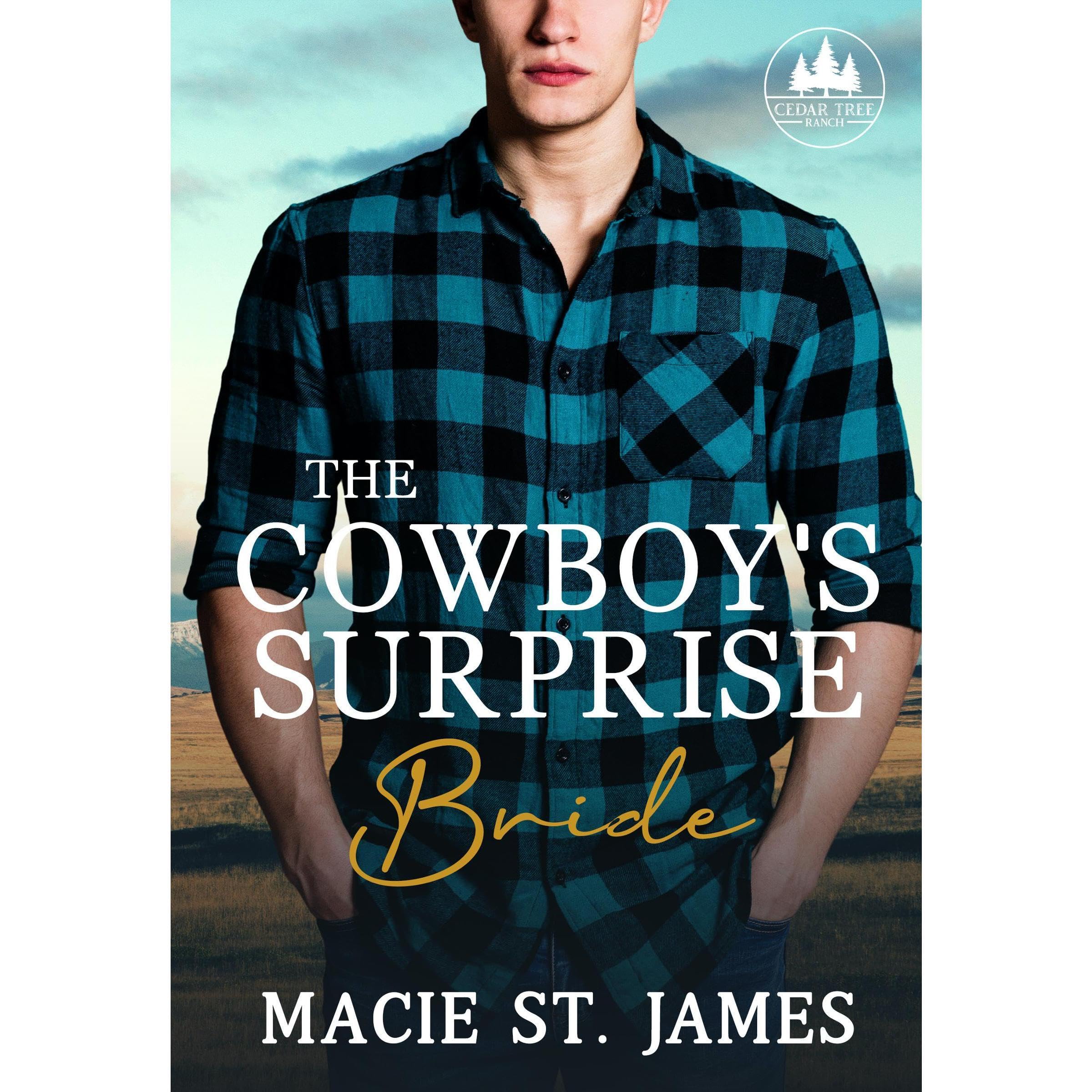 The Cowboy's Surprise Bride