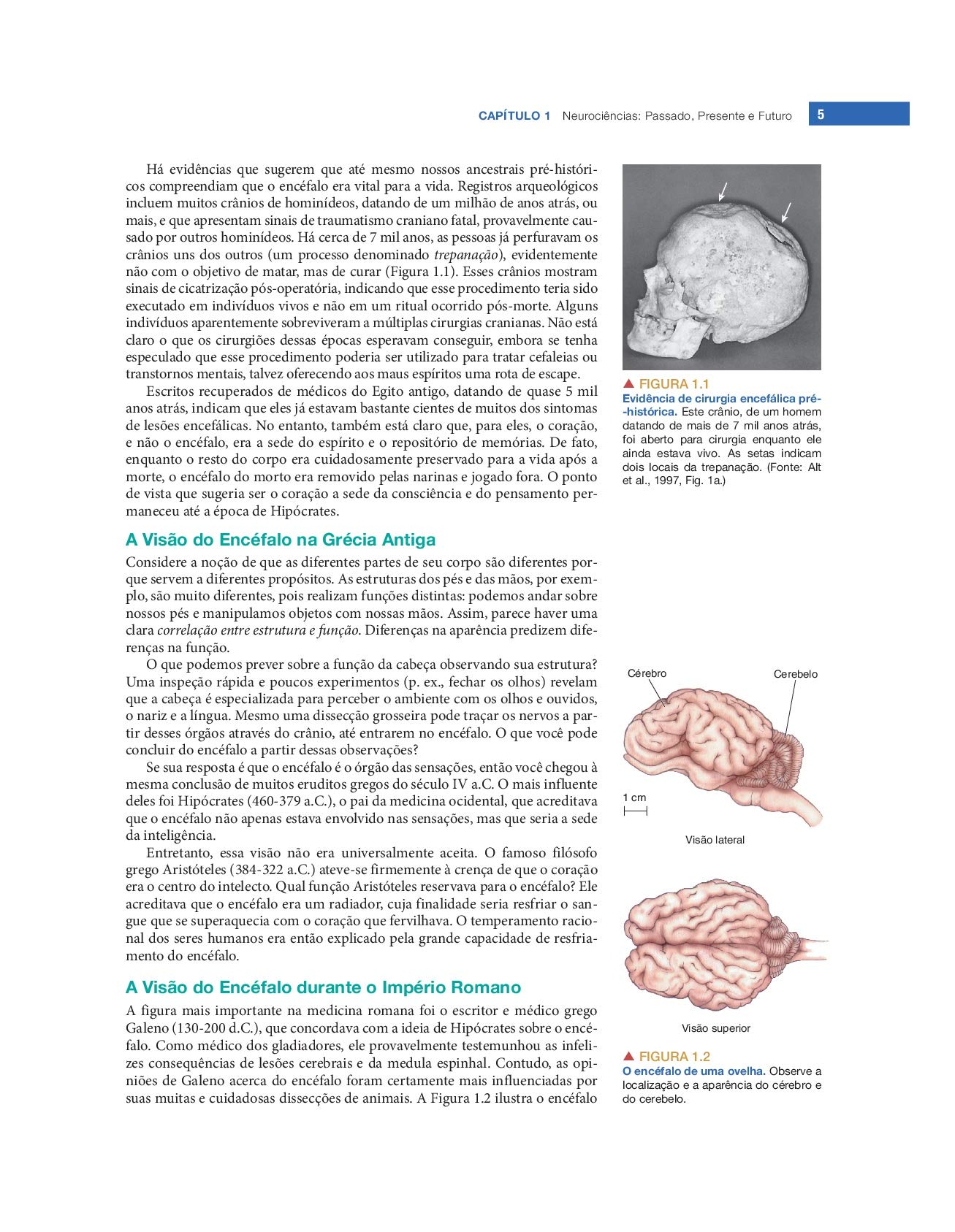 Neurociências