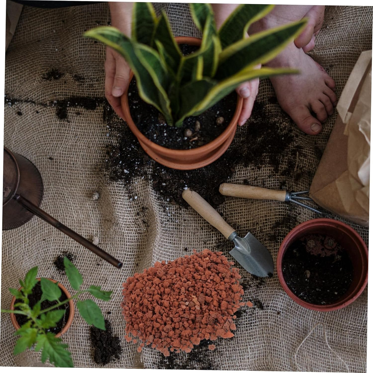 5bags Volcanic Rocks for Aquarium and Plant Decor Decorative Stones for Bonsai Pots and Terrariums Stones for Potted Plants and Water Features